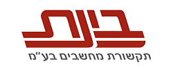 בינת
